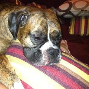 Meet your Posher, Drew